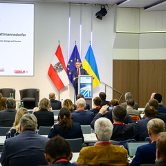 Флаги Украины и Австрии вместе