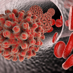 Large batch of hepatitis vaccine