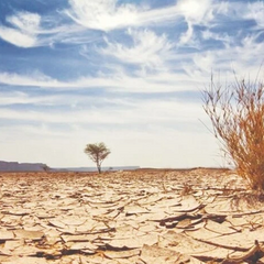 UN reports on the gap in climate commitments