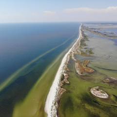 Polluted water and reserves: The Naval Forces of Ukraine named the most frightening ecological consequences of the war