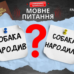 Мовознавиця пояснює значення слова «собака»