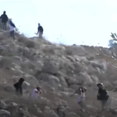 Ізраїльські поселенці атакують журналістів