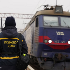 Встреча семьи на Закарпатье с детьми
