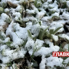 Прогноз погоды в Украине на зиму