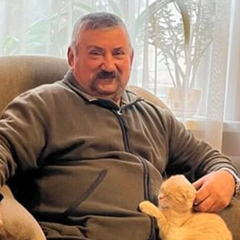 Чоловік збив два російські дрони