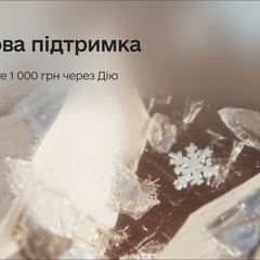 Зимняя поддержка - получи 1000 гривен