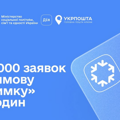 Миллион украинцев за несколько часов: рекорд на выплаты в Дии