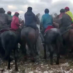 Незаконний турнір з хокею на конях