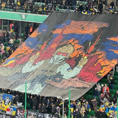 Депутатка Думы устроила истерику из-за баннера украинских фанатов со сожженным Кремлем