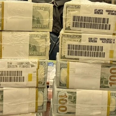 Міндіча на засіданні Кабміну, долари