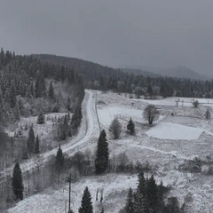 Снегом засыпало Львовщину