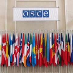 Проти воєнних злочинів РФ: ПА ОБСЄ приєдналася до Коаліції з повернення викрадених дітей