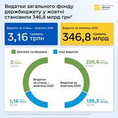 Государственный бюджет-2025: 2 трлн гривен на безопасность и оборону
