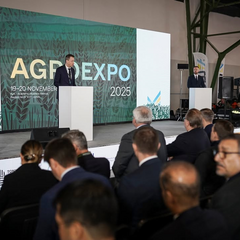 Їжа з України 2025: продовольчі інновації