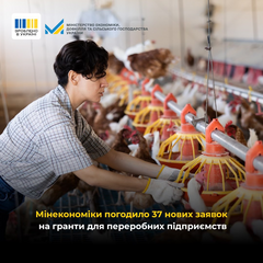 217 млн грн на гранты