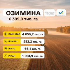 Украинские фермеры завершили посадку озимы