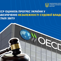 Украина получила высокие баллы от ОЭСР: что изменилось в судебной системе