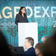 Украина приглашает на Food from Ukraine: как усилить мировую продовольственную безопасность