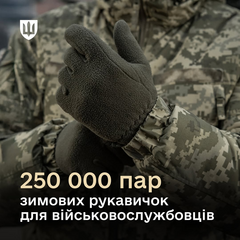 Военные зимние перчатки для ВСУ