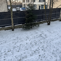 Небо с густыми облаками и снегом