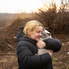 Коты найдены среди руин