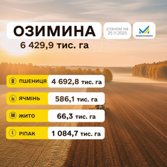Українські аграрії на полі