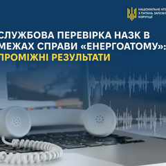 Промежуточные результаты проверки по делу Энергоатома