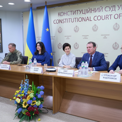 График обращений в Конституционный Суд