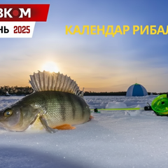 Рыбалка в декабре 2025: лучшее время