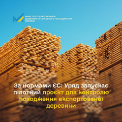 Проєкт експорту деревини в ЄС