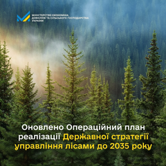 План управління лісами до 2035 року
