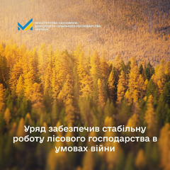 Лесоустройство в условиях войны