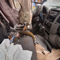 Пожар на Херсонщине: огороженные дома