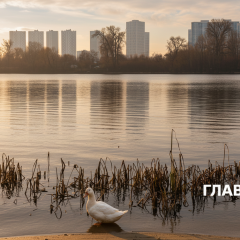Погода: дощ у більшості регіонів