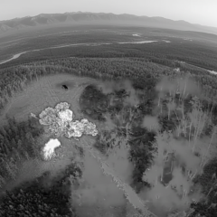 Destruction of the enemy logistic pipe in the Kupiansk direction