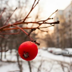 Сніг та хмари в Україні 24.12.2025