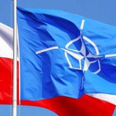 Польша просит НАТО о введении польских миротворцев