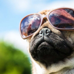 Попередження про спекотний початок тижня