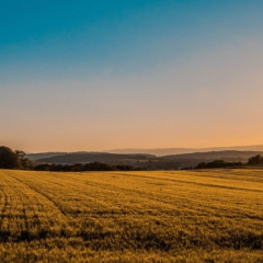 Розрив договорів оренди землі в Україні