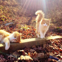 Небезпека заходу холоду в Україні