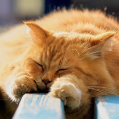 Синоптик Діденко попереджає про непередбачувану погоду