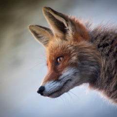 Зображення: людина з маскою