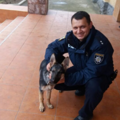 Поліцейський вступився за ветерана