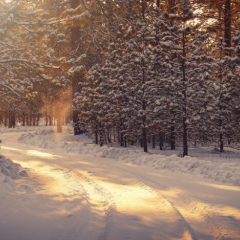 Карта України зимового пейзажу снігом та холодом