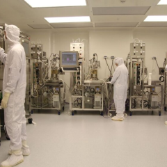 Україна отримує плацентарну терапію від Ізраїлю