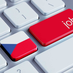 Правила трудоустройства для украинцев в Чехии