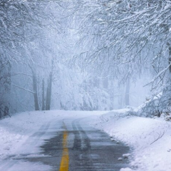 Сильный ветер и морозы в Украине