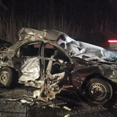 ДТП на Житомирщині: отец, дети, мать, больница