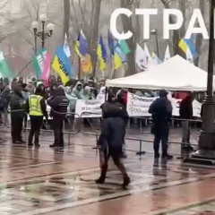 Група підприємців протестує у Києві