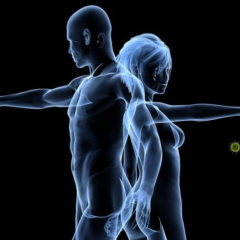 Сон влияет на иммунитет